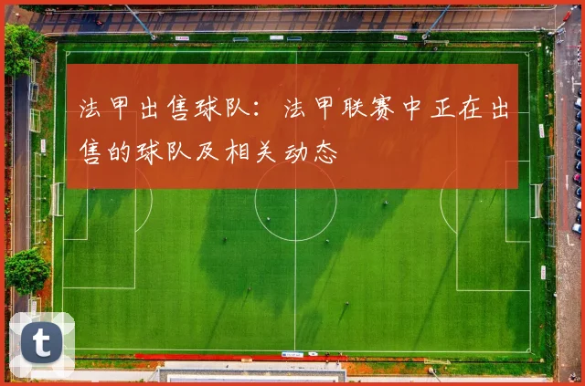法甲出售球队：法甲联赛中正在出售的球队及相关动态