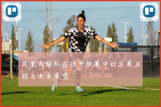 凤凰足球队在德甲联赛中的发展历程与未来展望